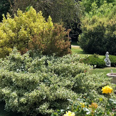 Le Domaine D'angelique