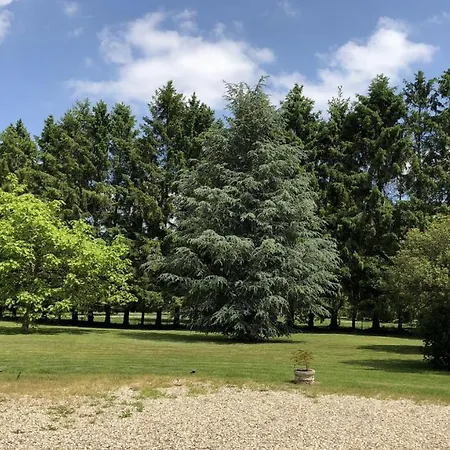 Le Domaine D'angelique